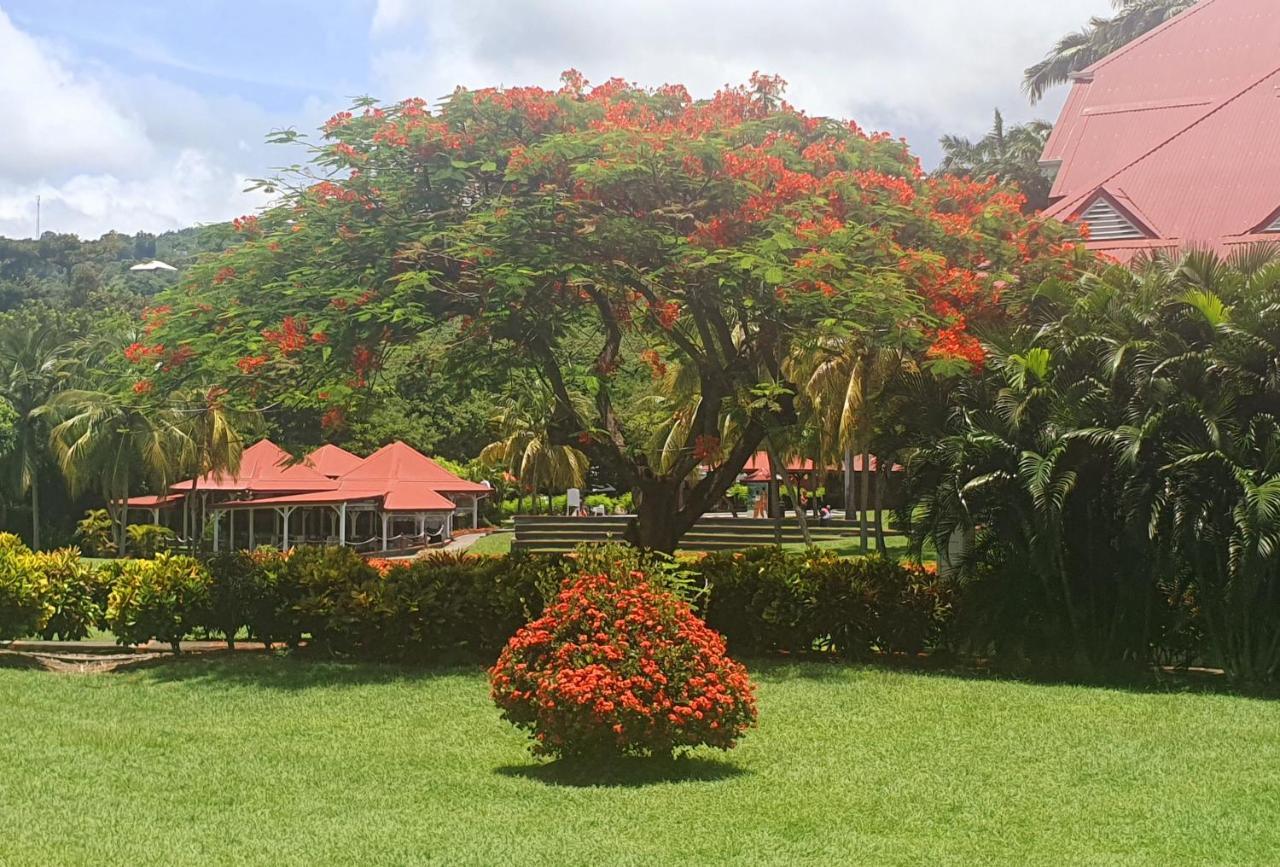 Ti Oasis Trinidad, Studio Vue Mer A Pierre & Vacances Sainte-Luce Bagian luar foto